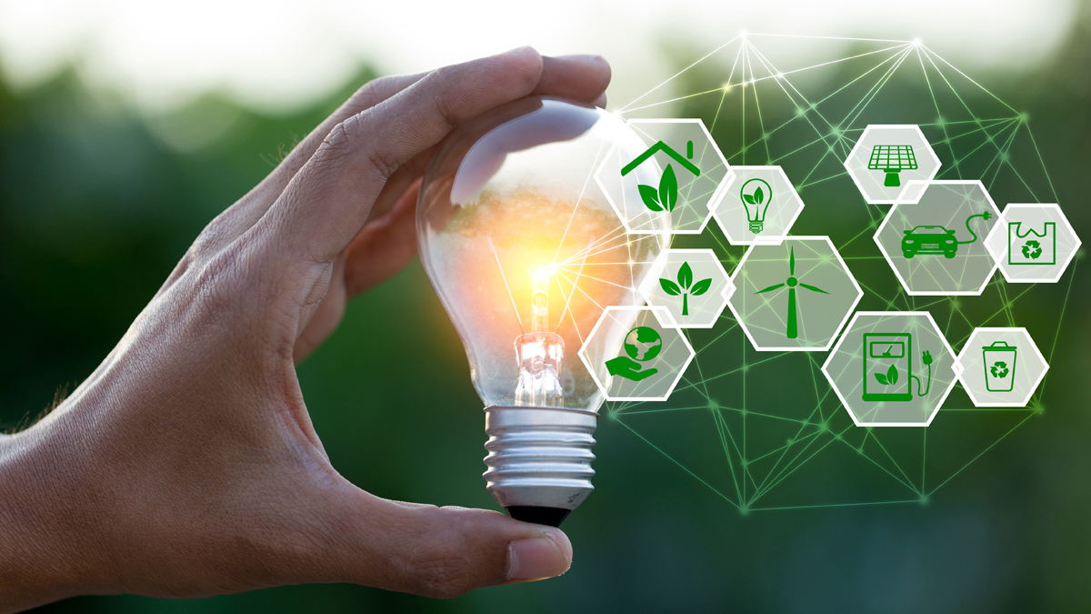 環境に優しい商品開発の新時代